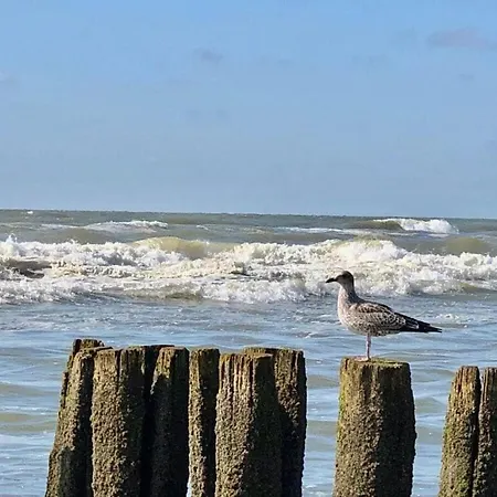 Sonneduyn 5 Comfortable Holiday Bergen aan Zee